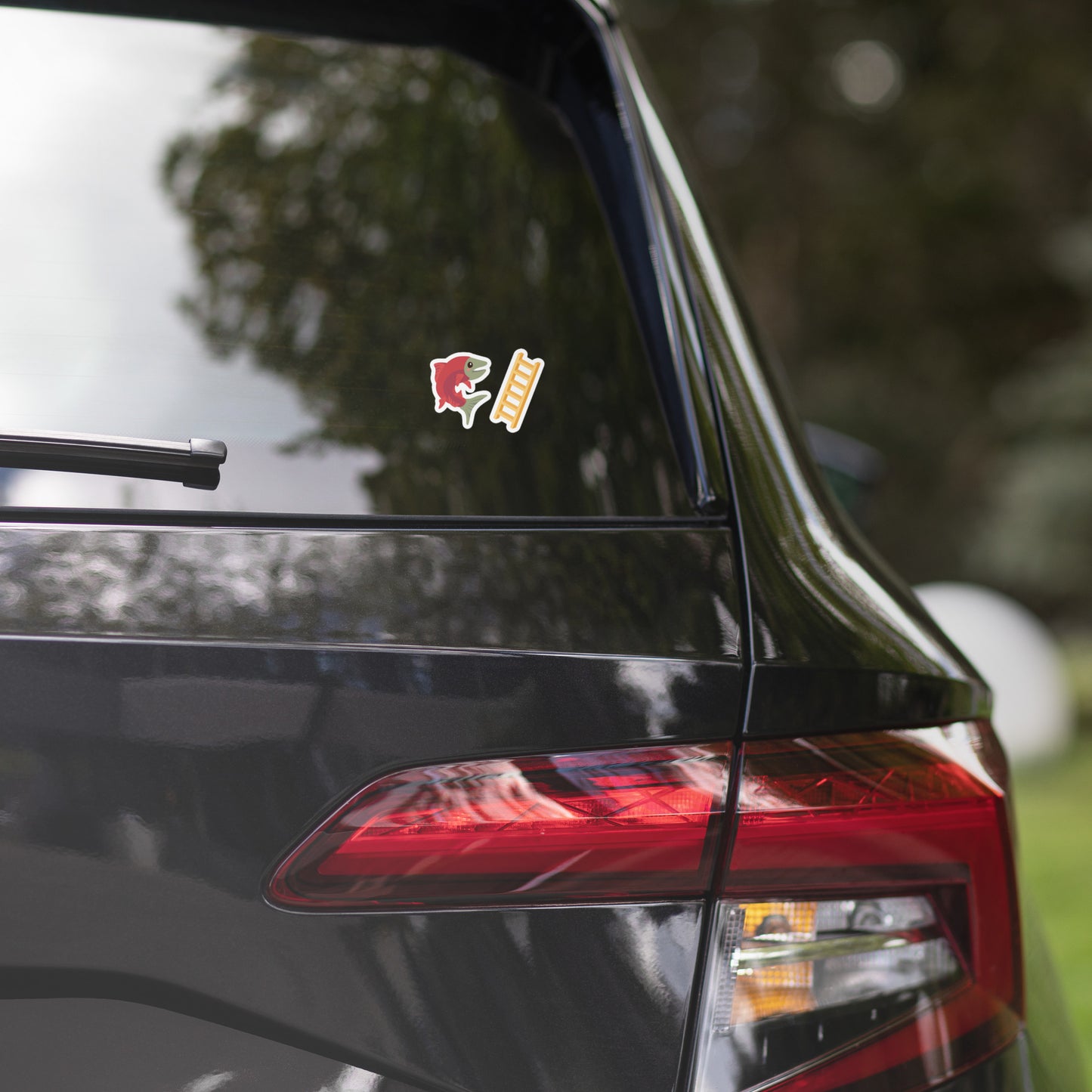 Salmon Ladder Emoji Stickers